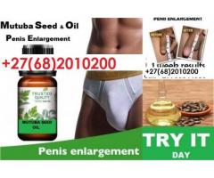 HERBAL 4 IN 1 SEED AND OIL FOR PENIS ENLARGER FROM SOUTH AFRICA